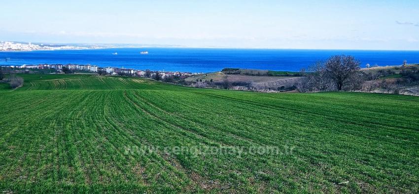 Tekirdağ Barbarosta 75 Adet Villa Projesine Uygun Full Deniz Ve Doğa Manzaralı Arazi