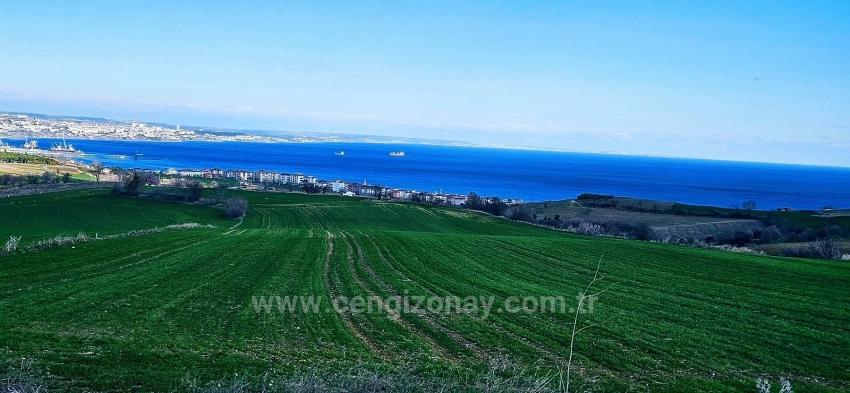 Süleymanpaşa Kumbağ Barbaros Mah. Satılık Arazi - Konut İmar Durumlu - 19.533 m²