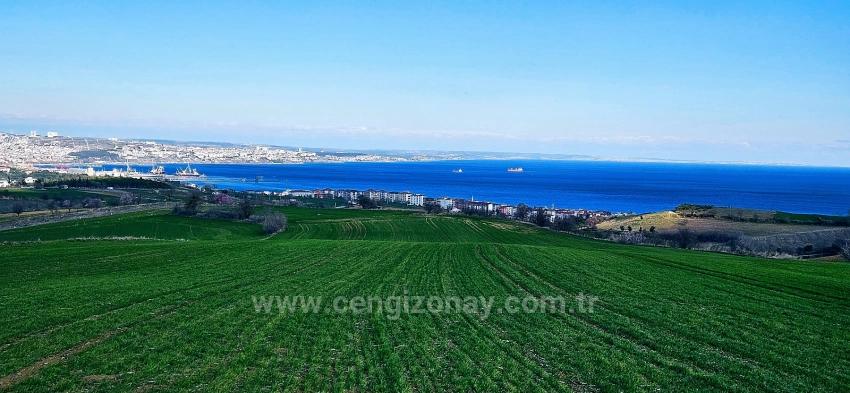 Süleymanpaşa Kumbağ Barbaros Mah. Satılık Arazi - Konut İmar Durumlu - 19.533 m²