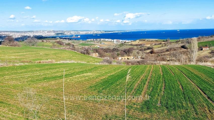 Tekirdağ Barbarosta Full Deniz Ve Doğa Manzaralı 8 Adet Villa Projesine Uygun Arazi