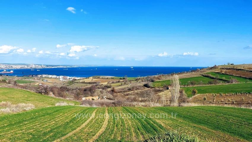 Tekirdağ Barbarosta Full Deniz Ve Doğa Manzaralı 8 Adet Villa Projesine Uygun Arazi