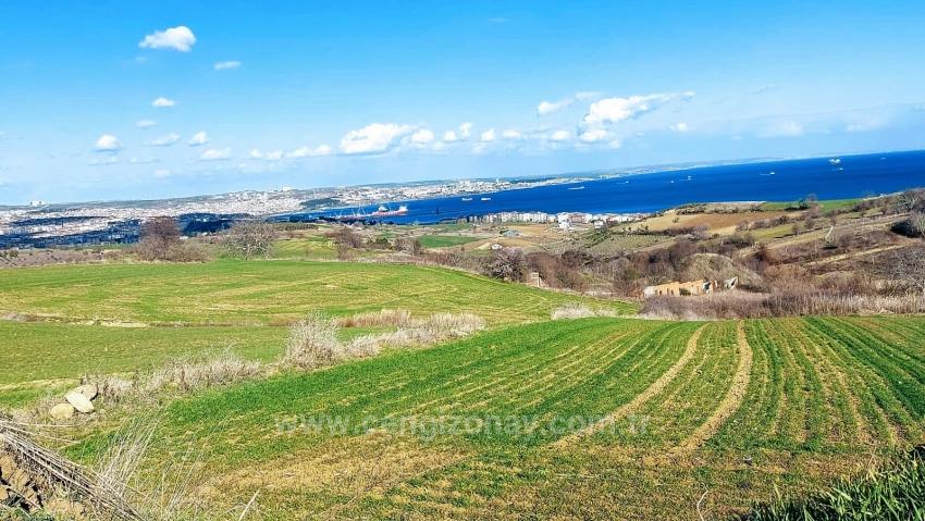Tekirdağ Barbarosta Full Deniz Ve Doğa Manzaralı 8 Adet Villa Projesine Uygun Arazi