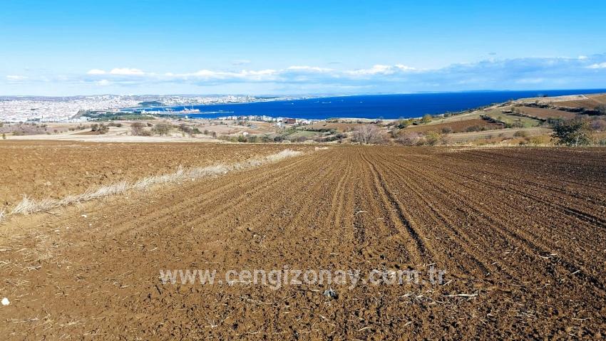 Süleymanpaşa Kumbağ Barbaros Mah. Satılık Arazi - Villa İmar Durumlu - 6.350 m²