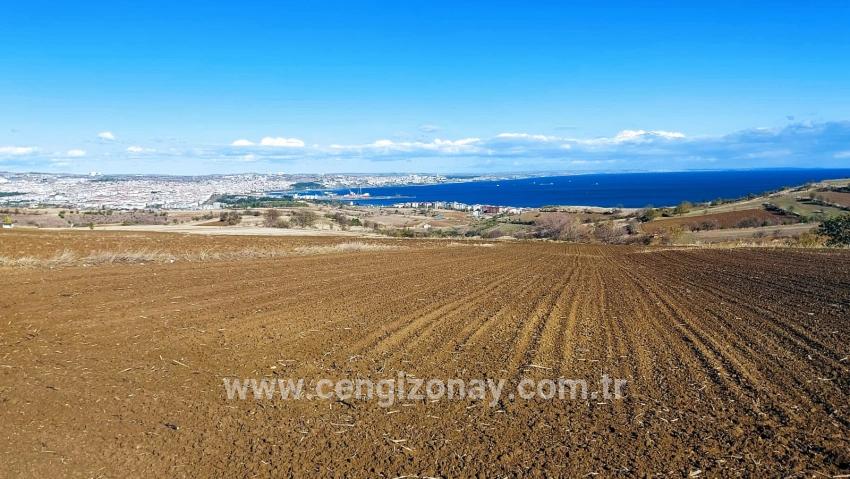 Süleymanpaşa Kumbağ Barbaros Mah. Satılık Arazi - Villa İmar Durumlu - 6.350 m²