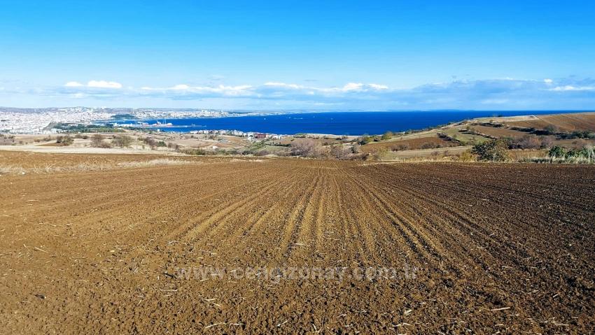 Muhteşem Deniz Ve Doğa Manzaralı 12 Adet Villa Projesine Uygun Acil Satılık Arazi