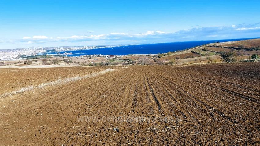 Muhteşem Deniz Ve Doğa Manzaralı 12 Adet Villa Projesine Uygun Acil Satılık Arazi