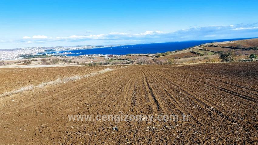 Süleymanpaşa Kumbağ Barbaros Mah. Satılık Arazi - Villa İmar Durumlu - 6.350 m²