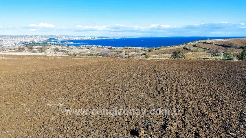 Süleymanpaşa Kumbağ Barbaros Mah. Satılık Arazi - Villa İmar Durumlu - 6.350 m²