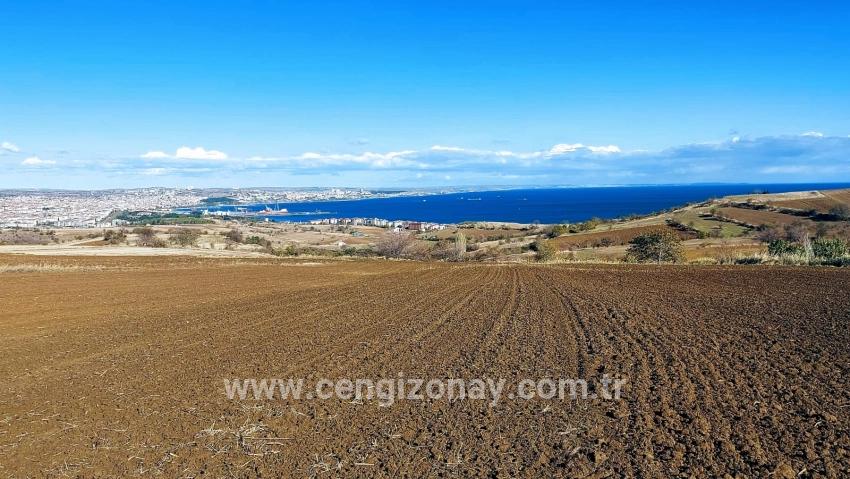 Süleymanpaşa Kumbağ Barbaros Mah. Satılık Arazi - Villa İmar Durumlu - 6.350 m²