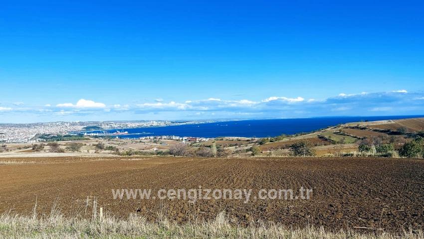 Süleymanpaşa Kumbağ Barbaros Mah. Satılık Arazi - Villa İmar Durumlu - 6.350 m²