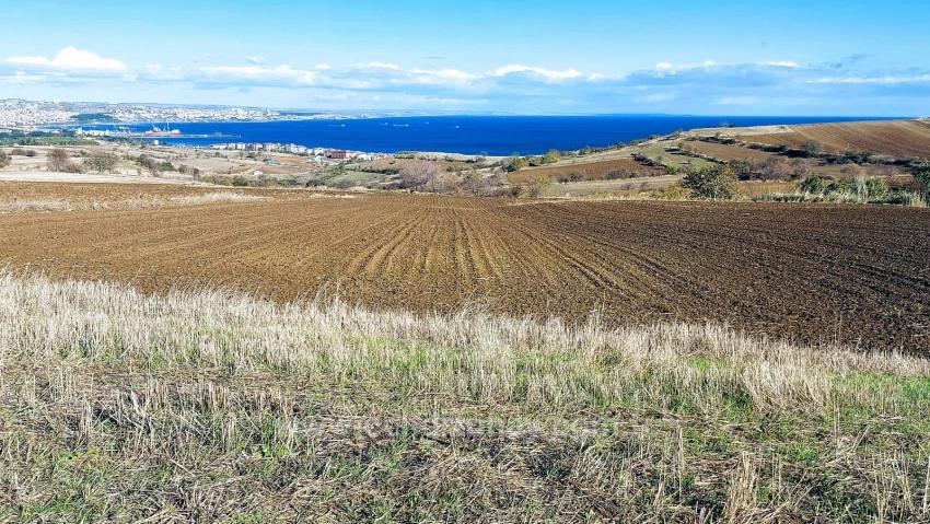 Muhteşem Deniz Ve Doğa Manzaralı 12 Adet Villa Projesine Uygun Acil Satılık Arazi