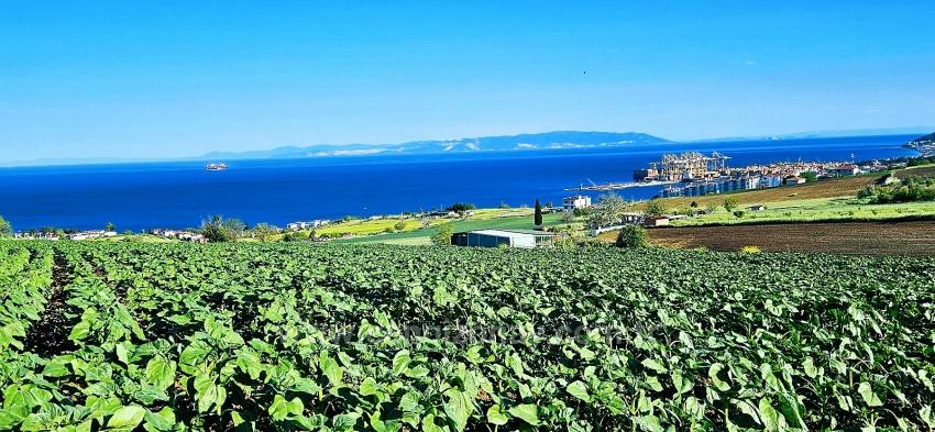 50 Dairelik Full Deniz Ve Doğa Manzaralı Kooparetif Ve Site Porojesine Uygun Arazi