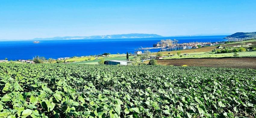 50 Dairelik Full Deniz Ve Doğa Manzaralı Kooparetif Ve Site Porojesine Uygun Arazi