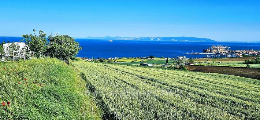 50 Dairelik Full Deniz Ve Doğa Manzaralı Kooparetif Ve Site Porojesine Uygun Arazi