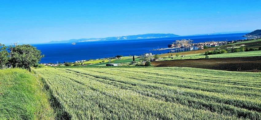 50 Dairelik Full Deniz Ve Doğa Manzaralı Kooparetif Ve Site Porojesine Uygun Arazi