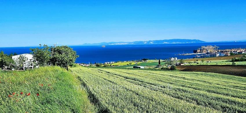 50 Dairelik Full Deniz Ve Doğa Manzaralı Kooparetif Ve Site Porojesine Uygun Arazi