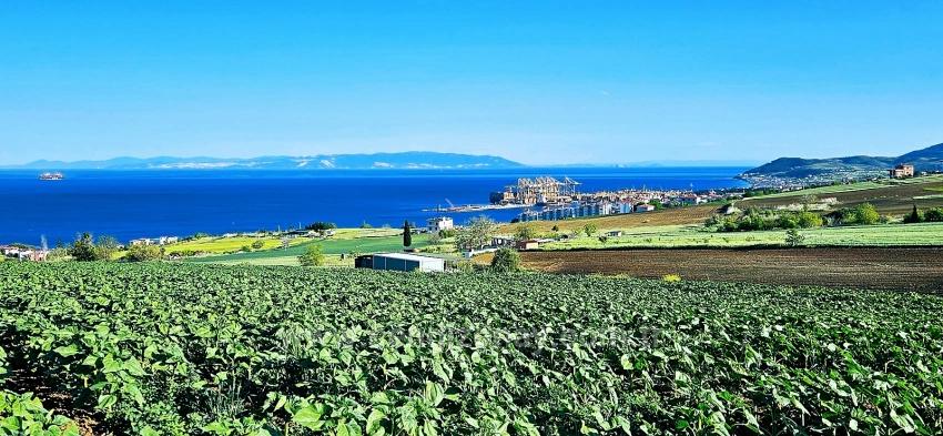 50 Dairelik Full Deniz Ve Doğa Manzaralı Kooparetif Ve Site Porojesine Uygun Arazi