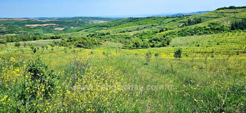 *Takas+Nakit* Devlet Desteği İle Çiftlik Kur* Üret Büyüt* Geleceğine Garantiye Al*