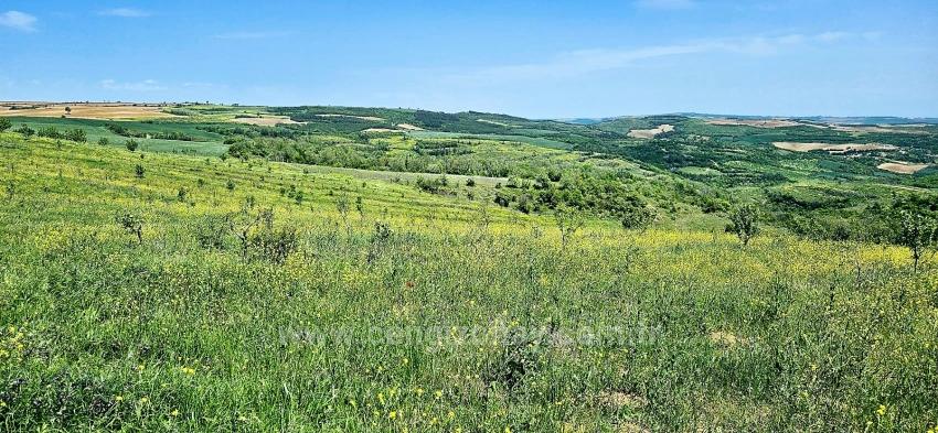 *Takas+Nakit* Devlet Desteği İle Çiftlik Kur* Üret Büyüt* Geleceğine Garantiye Al*
