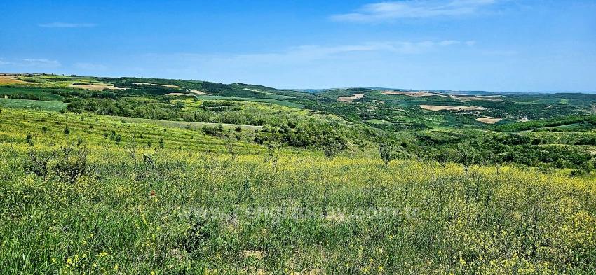 *Takas+Nakit* Devlet Desteği İle Çiftlik Kur* Üret Büyüt* Geleceğine Garantiye Al*