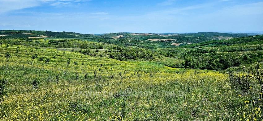 *Takas+Nakit* Devlet Desteği İle Çiftlik Kur* Üret Büyüt* Geleceğine Garantiye Al*