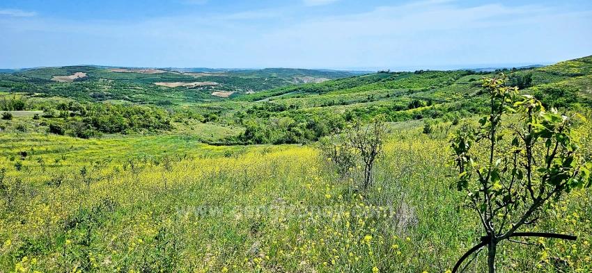 *Takas+Nakit* Devlet Desteği İle Çiftlik Kur* Üret Büyüt* Geleceğine Garantiye Al*