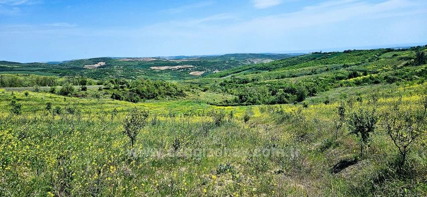 *Takas+Nakit* Devlet Desteği İle Çiftlik Kur* Üret Büyüt* Geleceğine Garantiye Al*