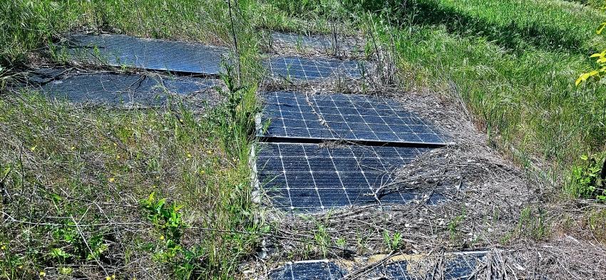 *Takas+Nakit* Devlet Desteği İle Çiftlik Kur* Üret Büyüt* Geleceğine Garantiye Al*
