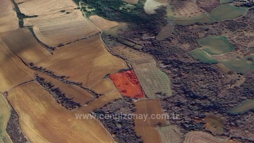 Yatırım Fırsatı Al-Sat Yapmak İsteyenler İçin Kısa Vadede Uüksek Kazanç Garentisi