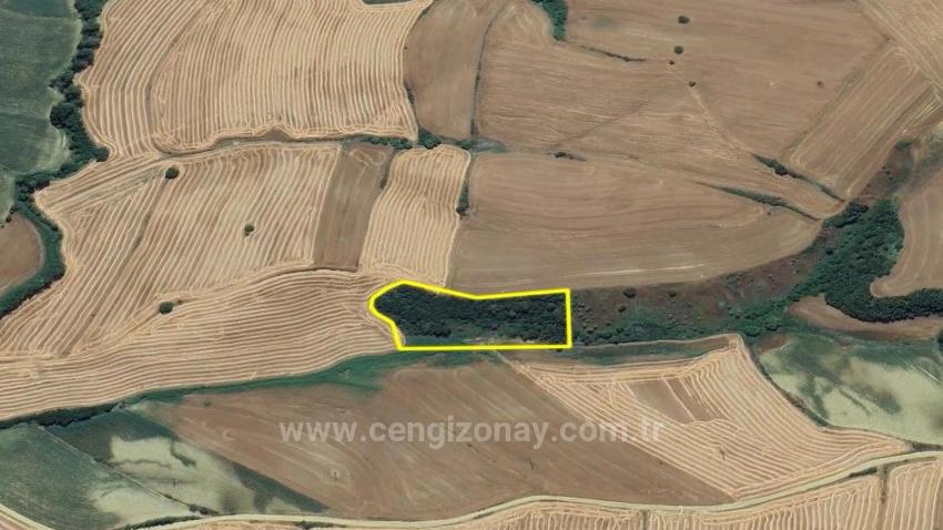 Tekirdağ Oruç Beyli Mahallesindekaçırılmayacak Yatırım Fırsatı 8.100 M2 Kelepir Tarla