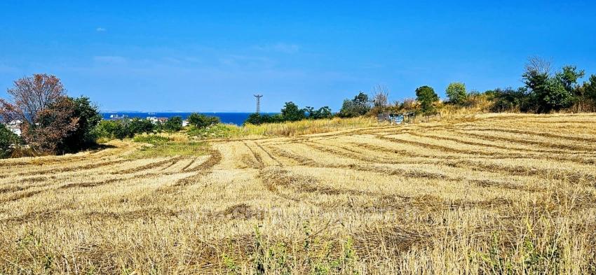 Asyaport Limanına Yakın 615 M2 Kelepir Köşe Arsa