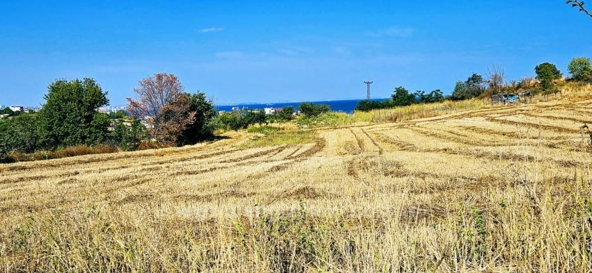 Asyaport Limanına Yakın 615 M2 Kelepir Köşe Arsa