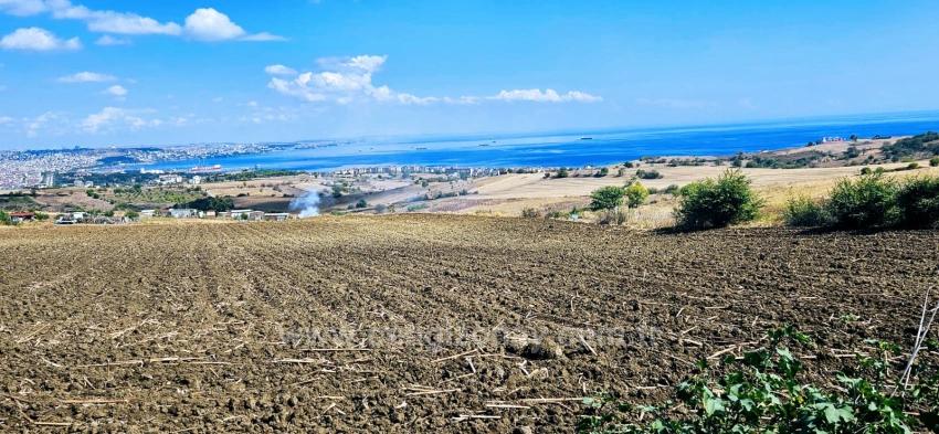 Full Deniz Manzaralı 4 Adet Lüxs Villa Poojesine Uygun Fırsat Arsa