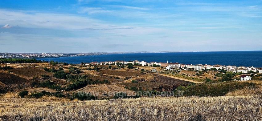 Tekirdağ Topağaç Mahallesinde Full Deniz Manzarlı 1.150 M2 Kelepir Yer