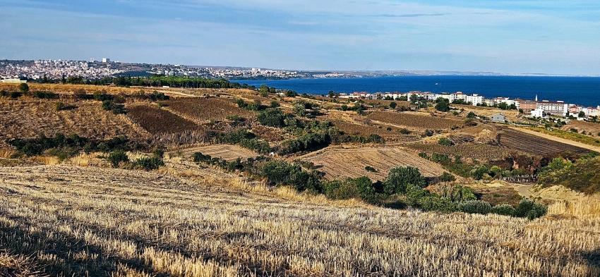 Tekirdağ Topağaç Mahallesinde Full Deniz Manzarlı 1.150 M2 Kelepir Yer