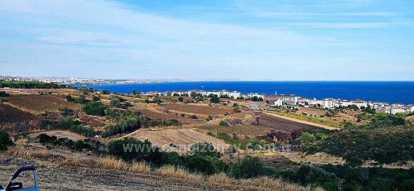 Tekirdağ Topağaç Mahallesinde Full Deniz Manzarlı 1.150 M2 Kelepir Yer