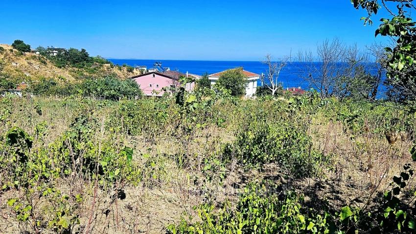 Tekirdağ Barbarosta 4 Taraf Yol Cephe Altyapı Hazır Kooparetif Ve Site Yapımına Uygun Yer