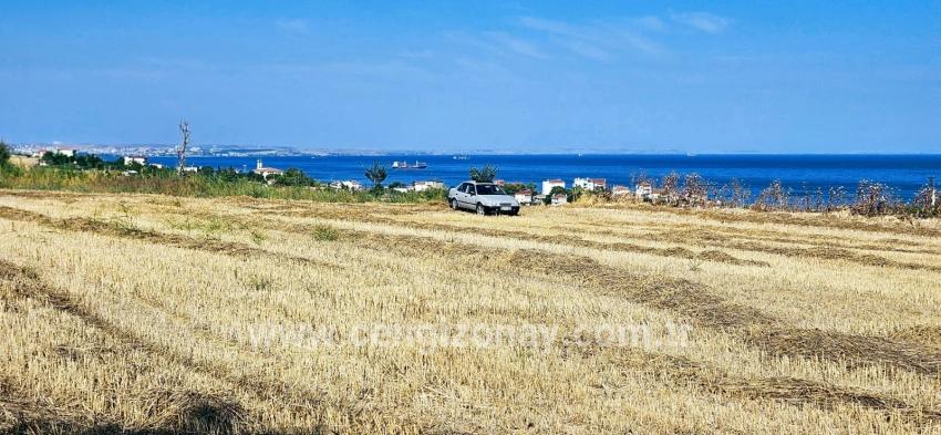 Süleymanpaşa Kumbağ Barbaros Mah. Satılık Tarla - Konut İmar Durumlu - 8.500 m²