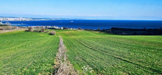 Tekirdağ Barbarosta 75 Adet Villa Projesine Uygun Full Deniz Ve Doğa Manzaralı Arazi