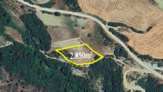 Müstakil Parsel Tek Tapu Hisseli Değil Köy İmar Sınırına Çok Yakın Acil Satılık Fırsat Ara