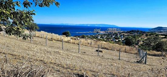 Al-Sat Yapmak İsteyenler İçin Yüksek Kazanç Garantisi Nakit İhtiyacından Dolayı Acil Satıl