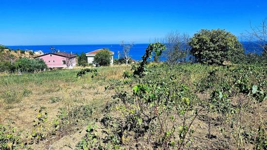 Tekirdağ Barbarosta 4 Taraf Yol Cephe Altyapı Hazır Kooparetif Ve Site Yapımına Uygun Yer