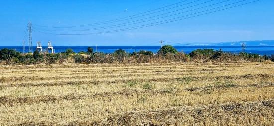 Asyaport Limanına Yakın 8.500 M2 Konut İmarlı Yüksek Kazanç Vaadi Arazi