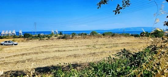 Asyaport Limanına Yakın 8.500 M2 Konut İmarlı Yüksek Kazanç Vaadi Arazi