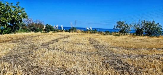 **asyaport Limanına Çok Yakın İhtiyaçtan Acil Satılık Konut İmarlı Arazi**