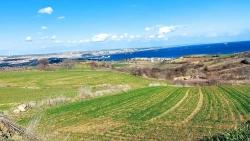 Süleymanpaşa Kumbağ Barbaros Mah. Satılık Arazi - Villa İmar Durumlu - 4.300 m²
