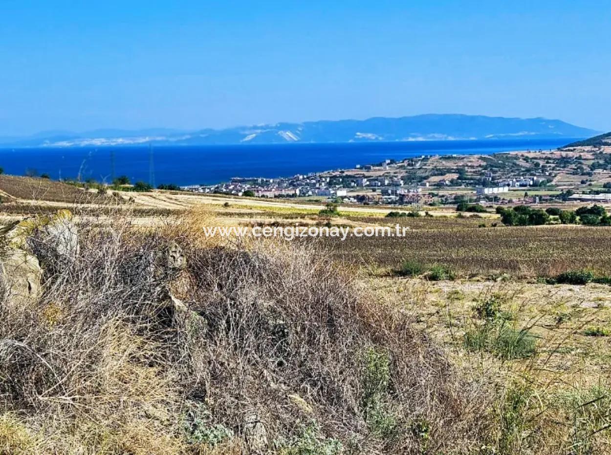 Asyaport Limanı Mevcut İmar Planı İçinde ( Ticari & Sanai ) Alanı Bölgedinde Acil Satılık 6.400 M2 Yatırım Fırsatı