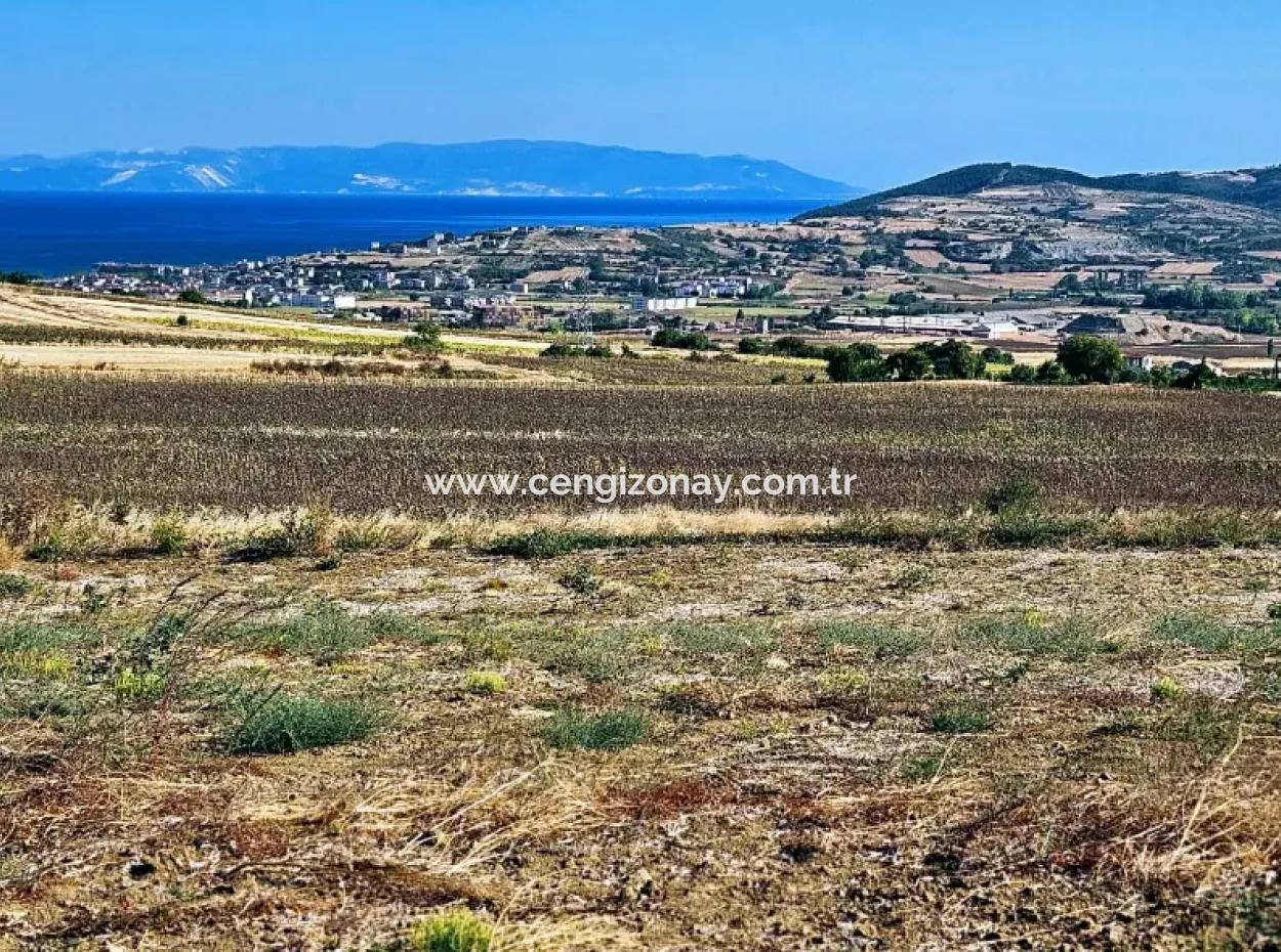 Asyaport Limanı Mevcut İmar Planı İçinde ( Ticari & Sanai ) Alanı Bölgedinde Acil Satılık 6.400 M2 Yatırım Fırsatı