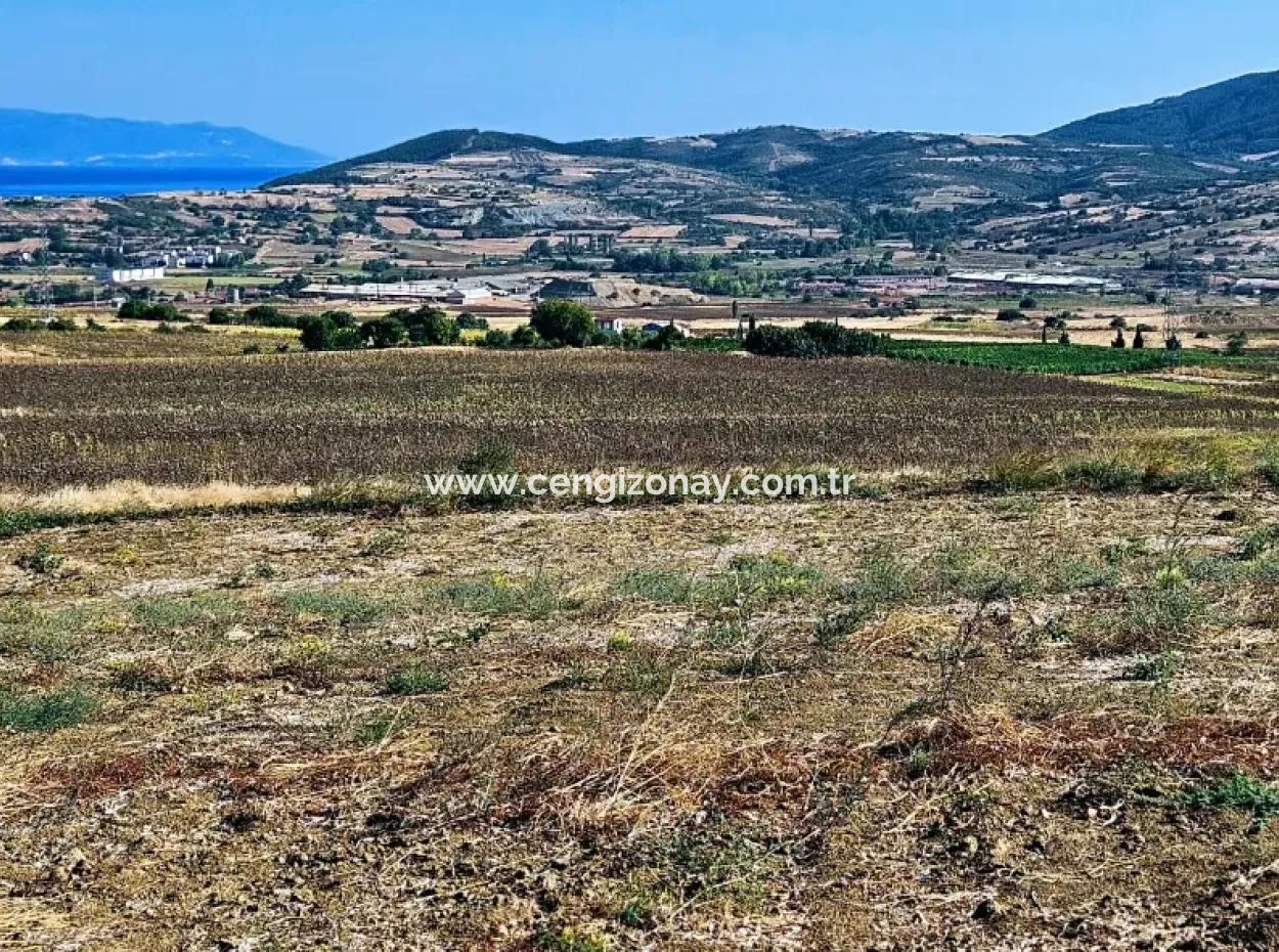 Asyaport Limanı Mevcut İmar Planı İçinde ( Ticari & Sanai ) Alanı Bölgedinde Acil Satılık 6.400 M2 Yatırım Fırsatı