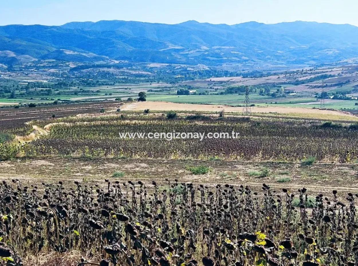 Asyaport Limanı Mevcut İmar Planı İçinde ( Ticari & Sanai ) Alanı Bölgedinde Acil Satılık 6.400 M2 Yatırım Fırsatı